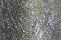 Nup End fibreglass roof work